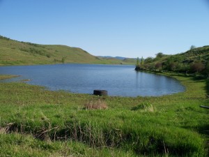 goose Lake