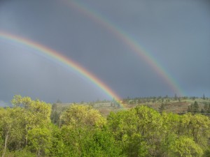 Rainbows 20090527_140 [1280x768]